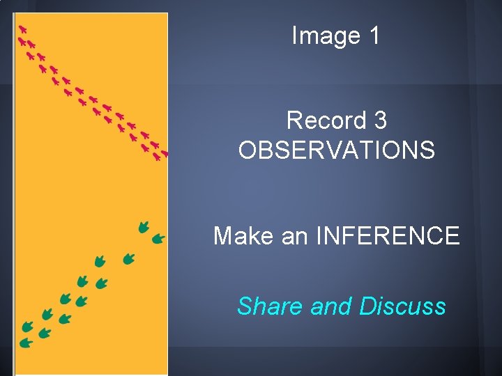 Image 1 Record 3 OBSERVATIONS Make an INFERENCE Share and Discuss 