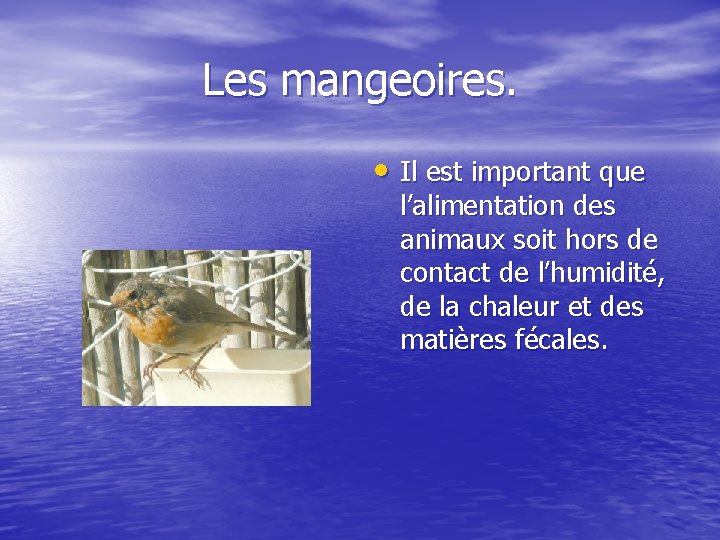 Les mangeoires. • Il est important que l’alimentation des animaux soit hors de contact