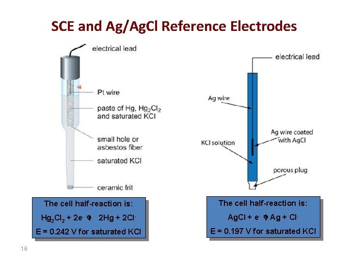 SCE and Ag/Ag. Cl Reference Electrodes The cell half-reaction is: Hg 2 Cl 2