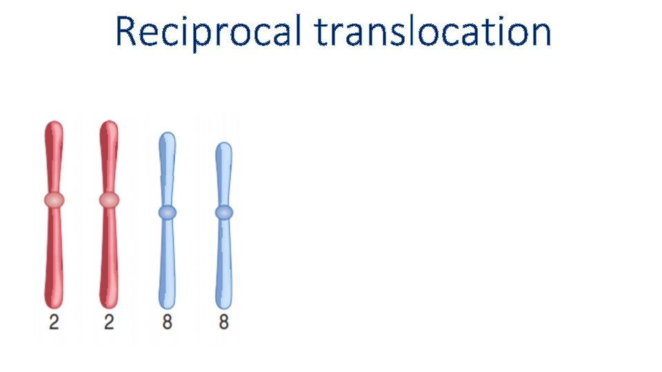 Reciprocal translocation 