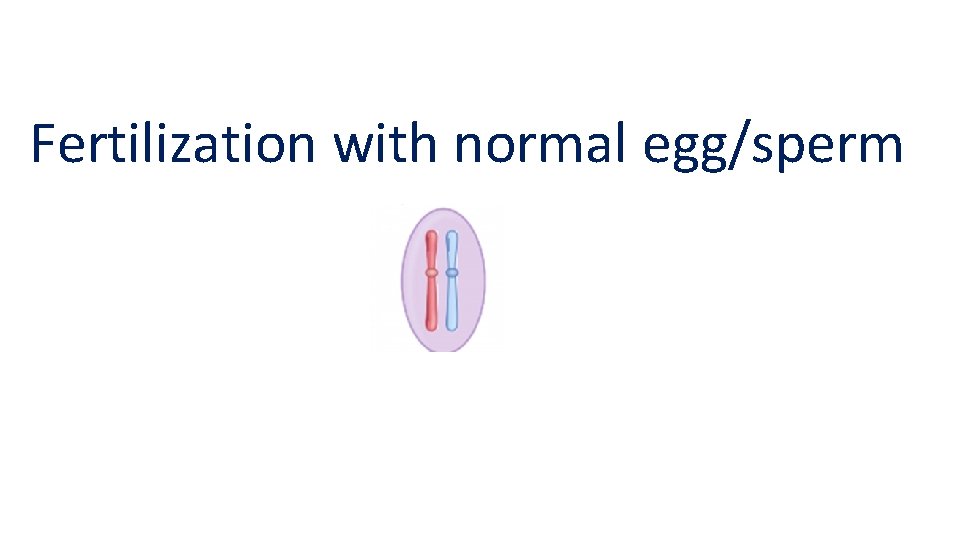 Fertilization with normal egg/sperm 