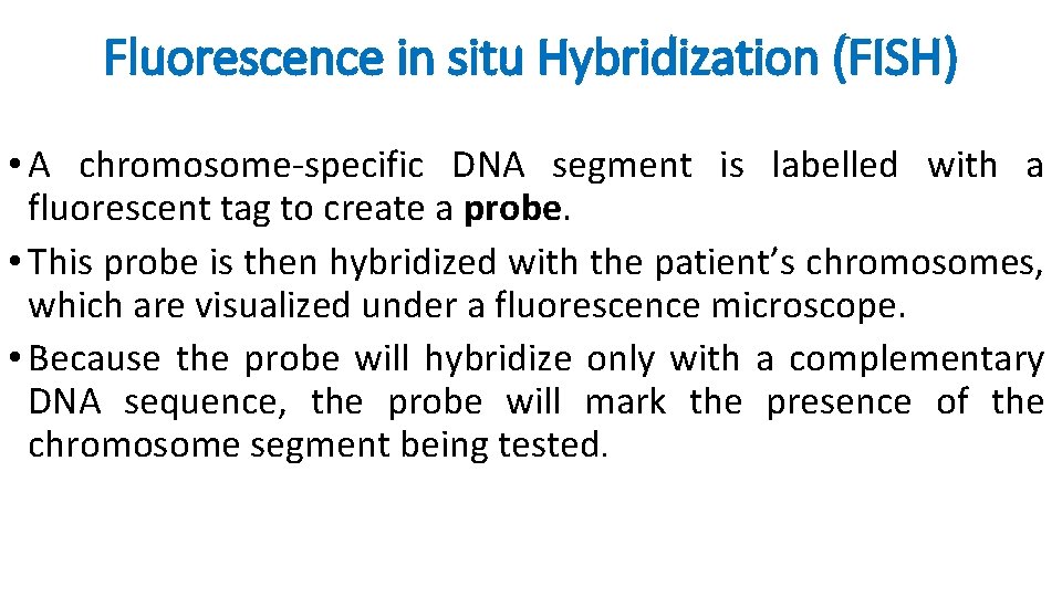 Fluorescence in situ Hybridization (FISH) • A chromosome-specific DNA segment is labelled with a