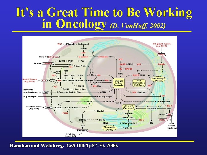 It’s a Great Time to Be Working in Oncology (D. Von. Hoff, 2002) Hanahan