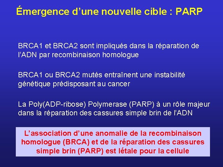 Émergence d’une nouvelle cible : PARP BRCA 1 et BRCA 2 sont impliqués dans