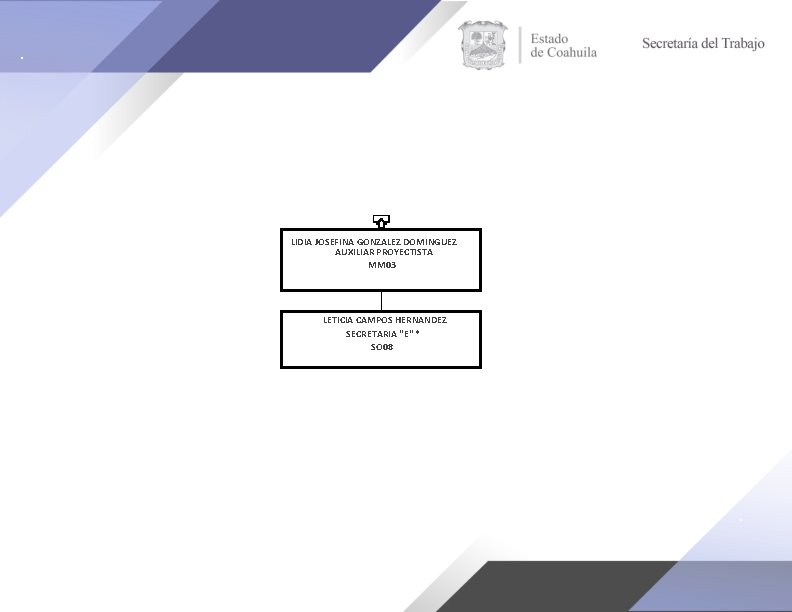 LIDIA JOSEFINA GONZALEZ DOMINGUEZ AUXILIAR PROYECTISTA MM 03 LETICIA CAMPOS HERNANDEZ SECRETARIA "E" *