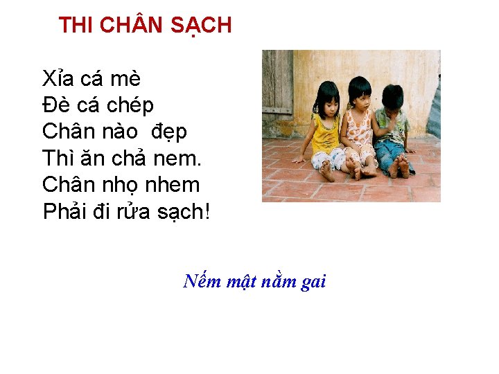 THI CH N SẠCH Xỉa cá mè Đè cá chép Chân nào đẹp Thì