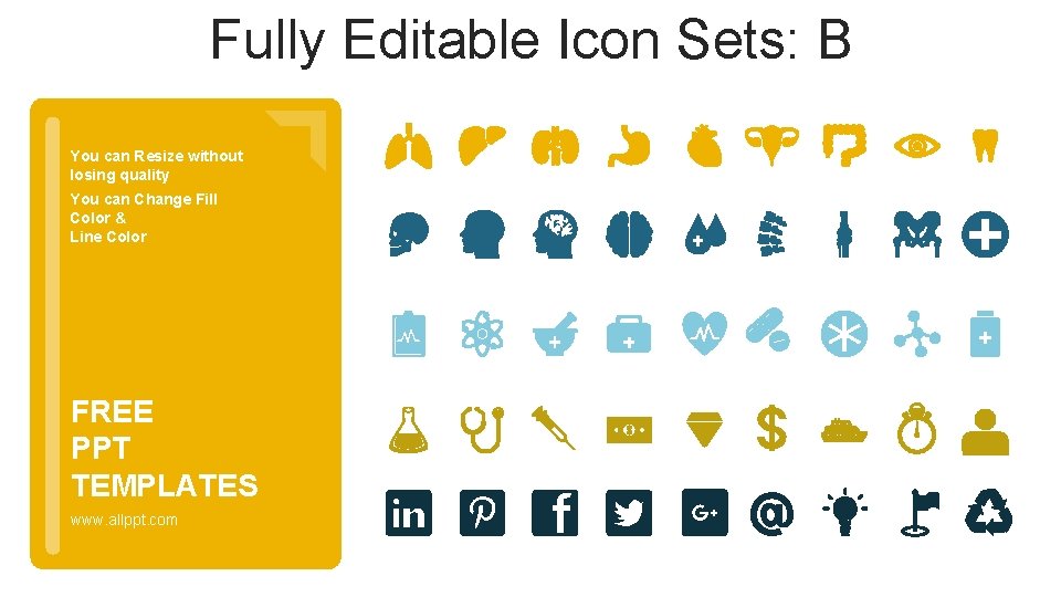 Fully Editable Icon Sets: B You can Resize without losing quality You can Change