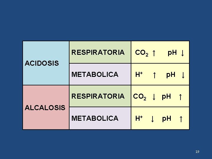 RESPIRATORIA CO 2 ↑ p. H ↓ METABOLICA H+ p. H ↓ RESPIRATORIA CO