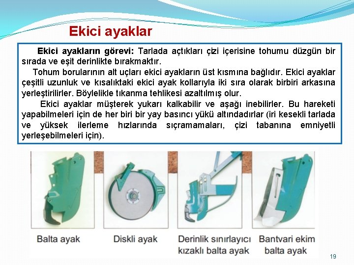 Ekici ayakların görevi: Tarlada açtıkları çizi içerisine tohumu düzgün bir sırada ve eşit derinlikte