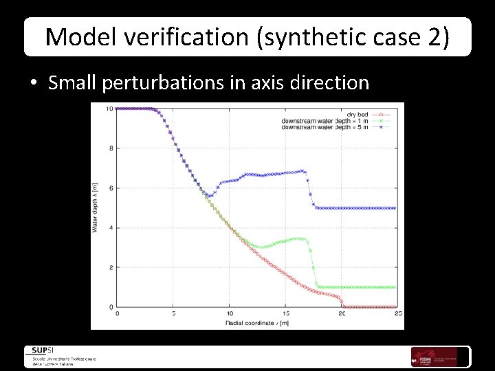 Model verification (synthetic case 2) • Small perturbations in axis direction 