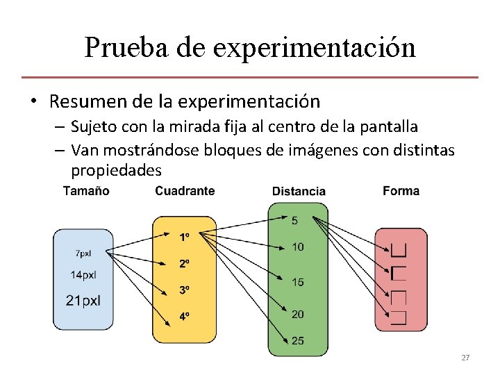 Prueba de experimentación • Resumen de la experimentación – Sujeto con la mirada fija