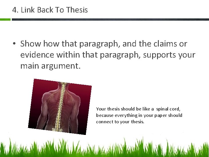 4. Link Back To Thesis • Show that paragraph, and the claims or evidence