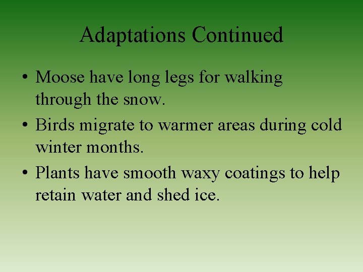 Adaptations Continued • Moose have long legs for walking through the snow. • Birds