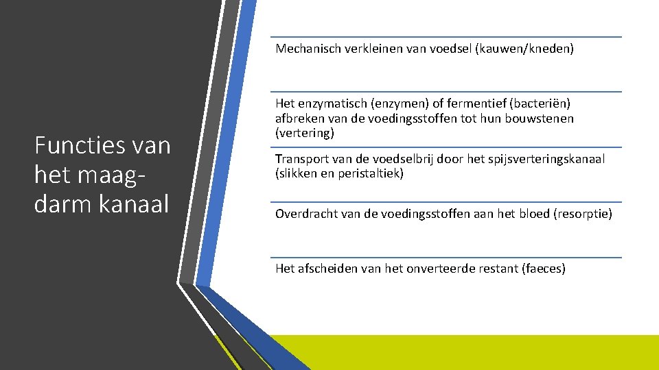 Mechanisch verkleinen van voedsel (kauwen/kneden) Functies van het maagdarm kanaal Het enzymatisch (enzymen) of