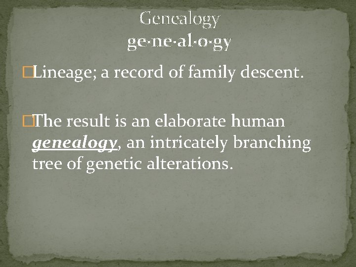  Genealogy ge·ne·al·o·gy �Lineage; a record of family descent. �The result is an elaborate