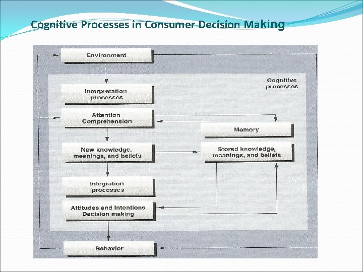 Cognitive Processes in Consumer Decision Making 