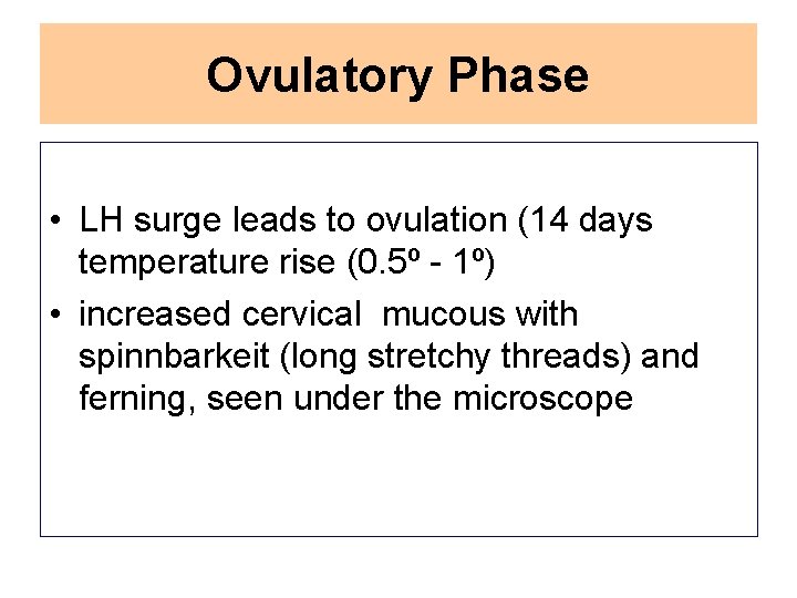 Ovulatory Phase • LH surge leads to ovulation (14 days temperature rise (0. 5º
