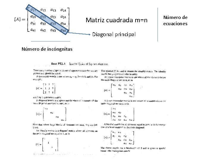 Matriz cuadrada m=n Diagonal principal Número de incóngnitas Número de ecuaciones 