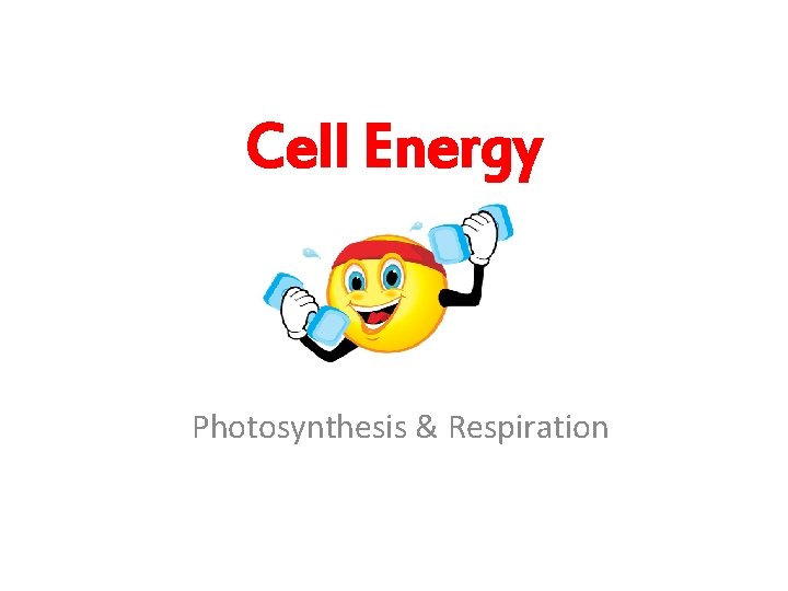 Cell Energy Photosynthesis & Respiration 