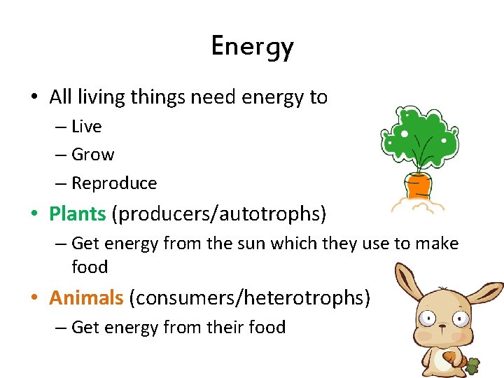 Energy • All living things need energy to – Live – Grow – Reproduce