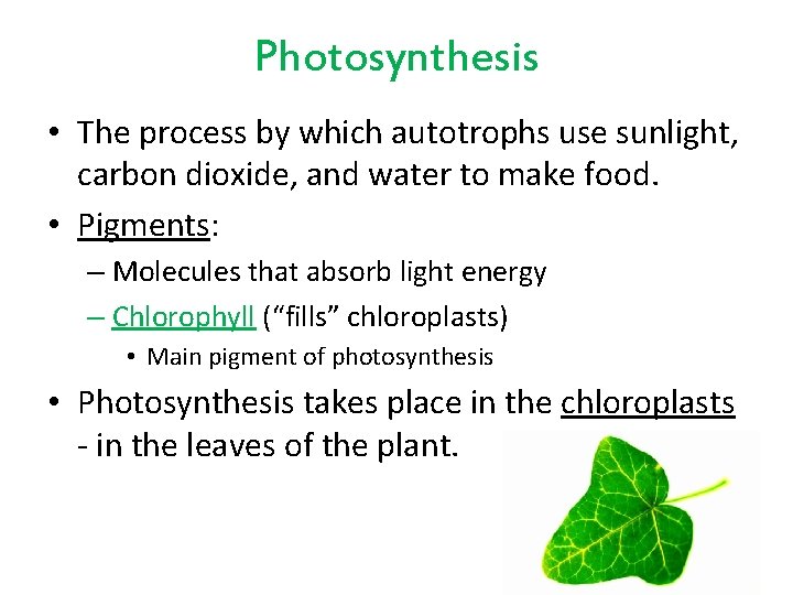 Photosynthesis • The process by which autotrophs use sunlight, carbon dioxide, and water to