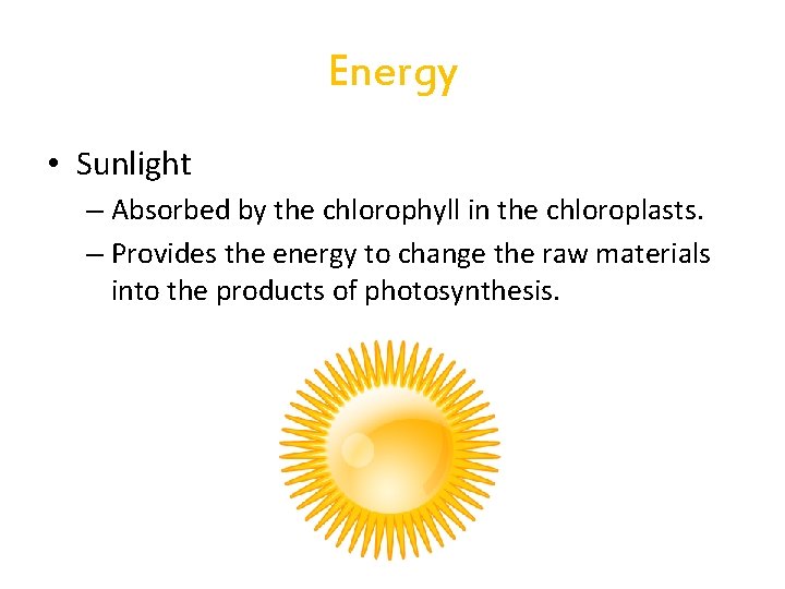 Energy • Sunlight – Absorbed by the chlorophyll in the chloroplasts. – Provides the