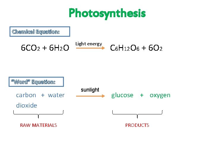 Photosynthesis Chemical Equation: 6 CO 2 + 6 H 2 O Light energy C