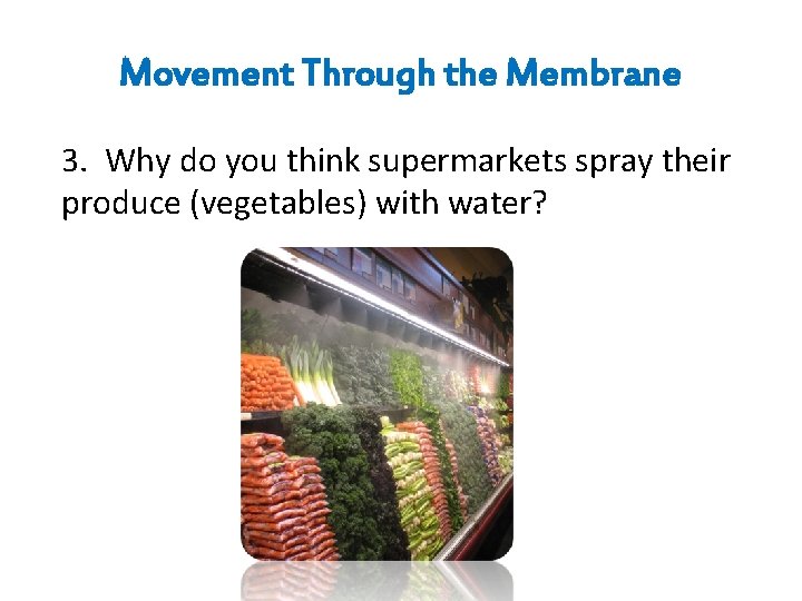 Movement Through the Membrane 3. Why do you think supermarkets spray their produce (vegetables)