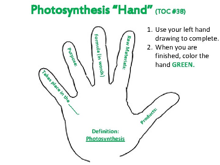 Photosynthesis “Hand” (TOC #38) he nt ei lac sp ke s) Ta (in word