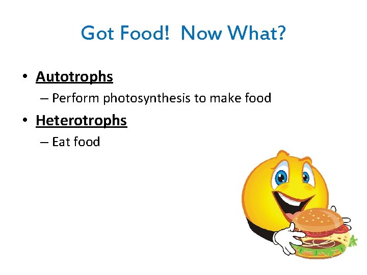 Got Food! Now What? • Autotrophs – Perform photosynthesis to make food • Heterotrophs