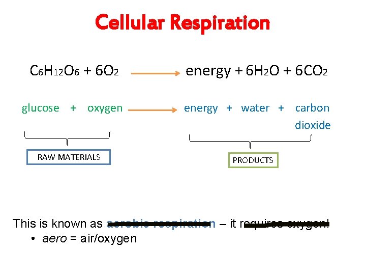 Cellular Respiration C 6 H 12 O 6 + 6 O 2 energy +