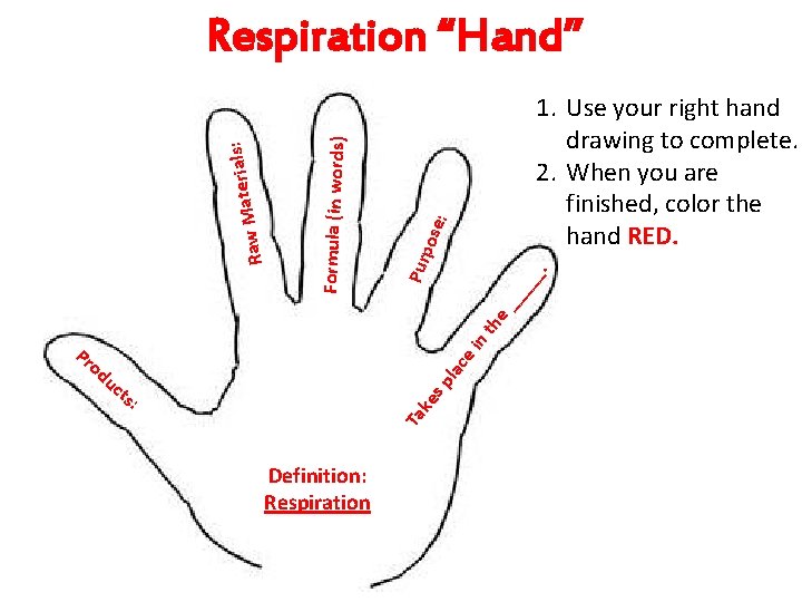 pos e : 1. Use your right hand drawing to complete. 2. When you