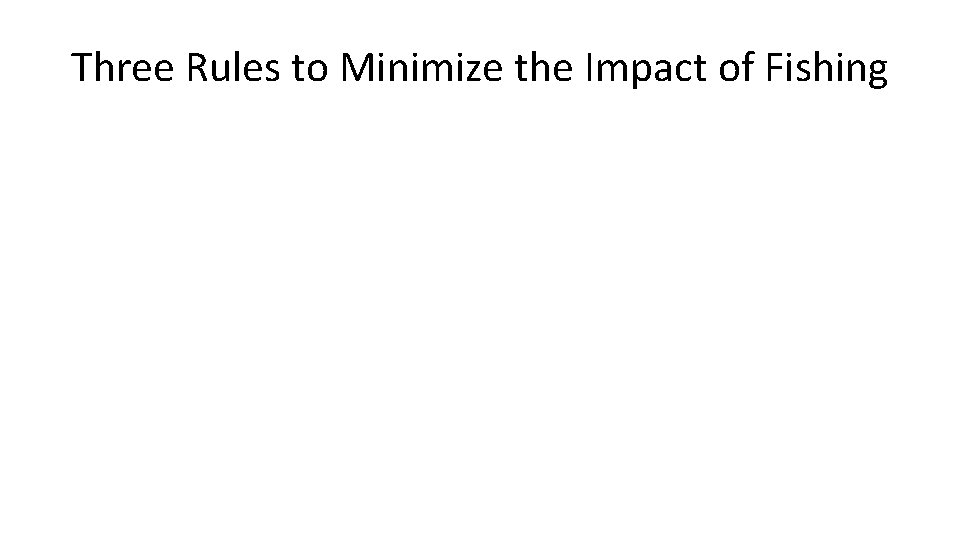 Three Rules to Minimize the Impact of Fishing 