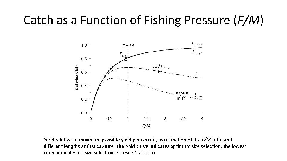 Catch as a Function of Fishing Pressure (F/M) Yield relative to maximum possible yield