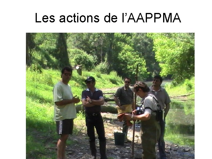 Les actions de l’AAPPMA 