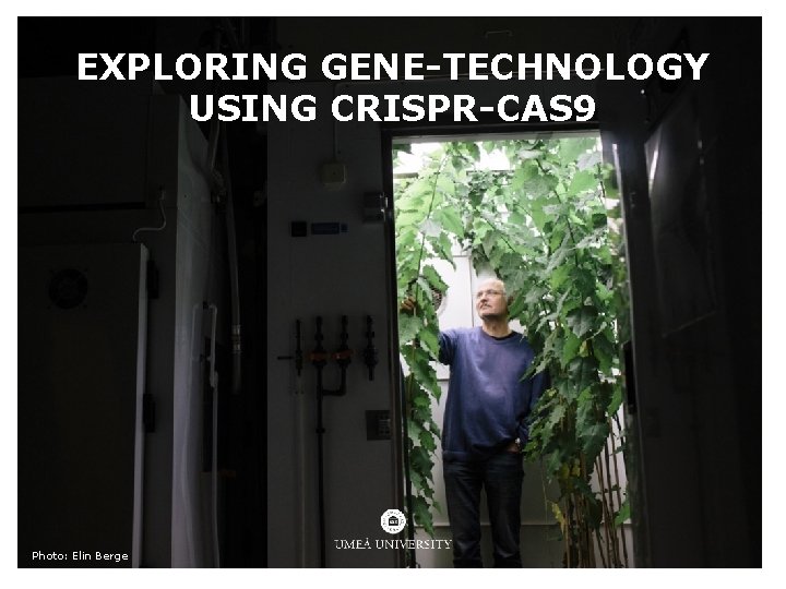 EXPLORING GENE-TECHNOLOGY USING CRISPR-CAS 9 Photo: Elin Berge EXPLORING GENE-TECHNOLOGY USING CRISPR-CAS 9 Photo: Elin Berge
