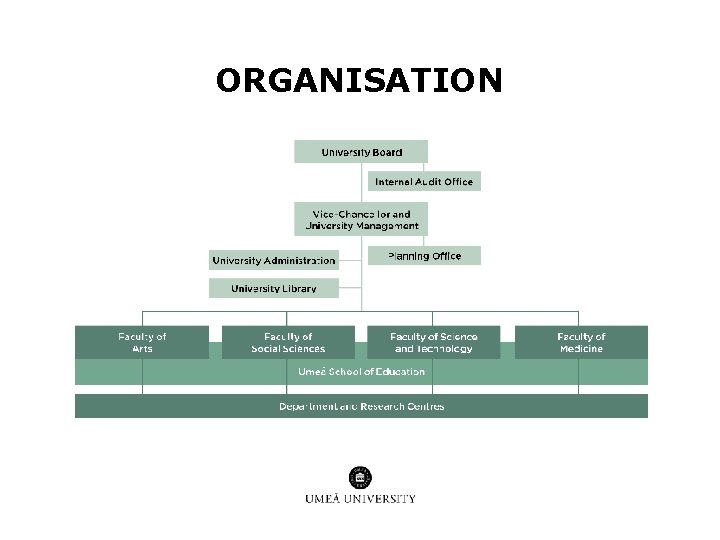 ORGANISATION ORGANISATION
