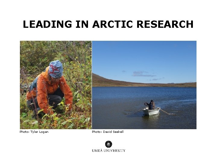 LEADING IN ARCTIC RESEARCH Photo: Tyler Logan Photo: David Seekell LEADING IN ARCTIC RESEARCH Photo: Tyler Logan Photo: David Seekell