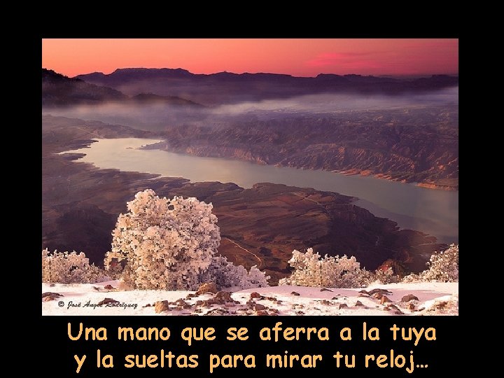 Una mano que se aferra a la tuya y la sueltas para mirar tu