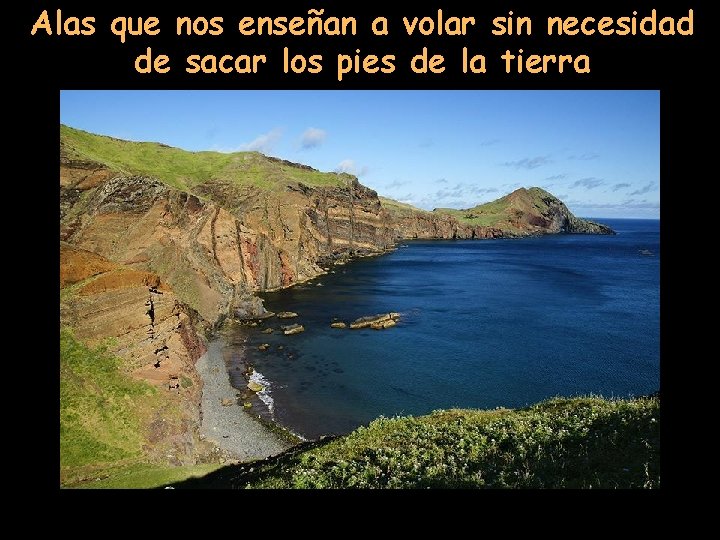 Alas que nos enseñan a volar sin necesidad de sacar los pies de la