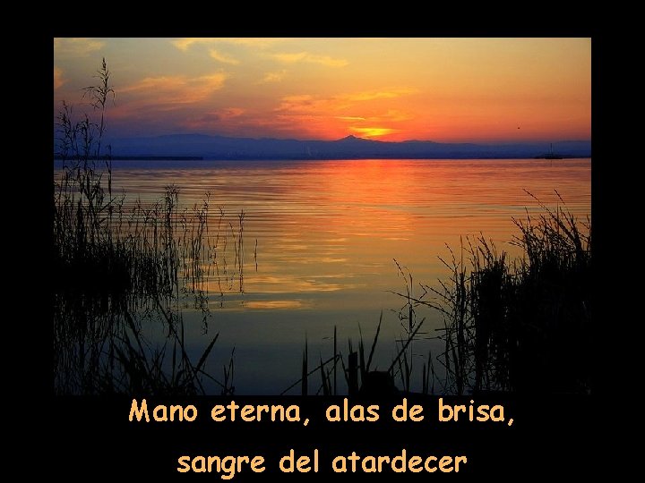 Mano eterna, alas de brisa, sangre del atardecer 