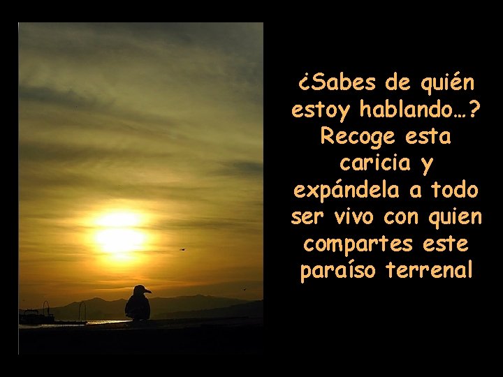 ¿Sabes de quién estoy hablando…? Recoge esta caricia y expándela a todo ser vivo