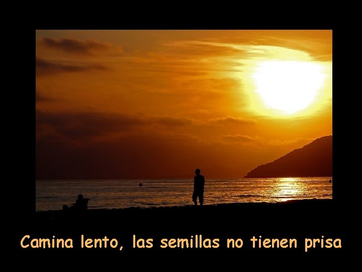 Camina lento, las semillas no tienen prisa 