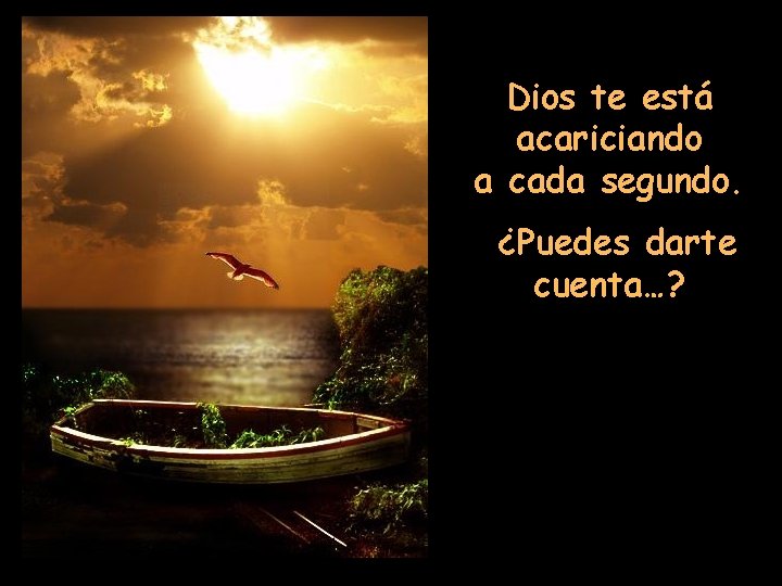 Dios te está acariciando a cada segundo. ¿Puedes darte cuenta…? 