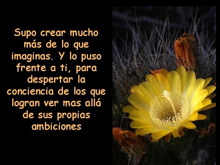 Supo crear mucho más de lo que imaginas. Y lo puso frente a ti,