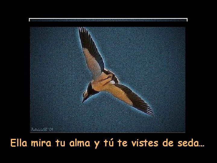 Ella mira tu alma y tú te vistes de seda… 