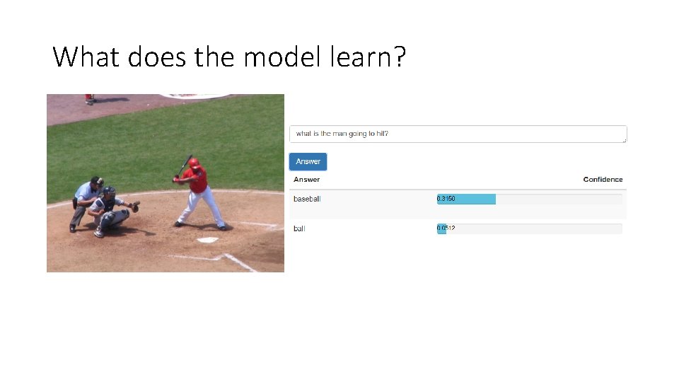 What does the model learn? 