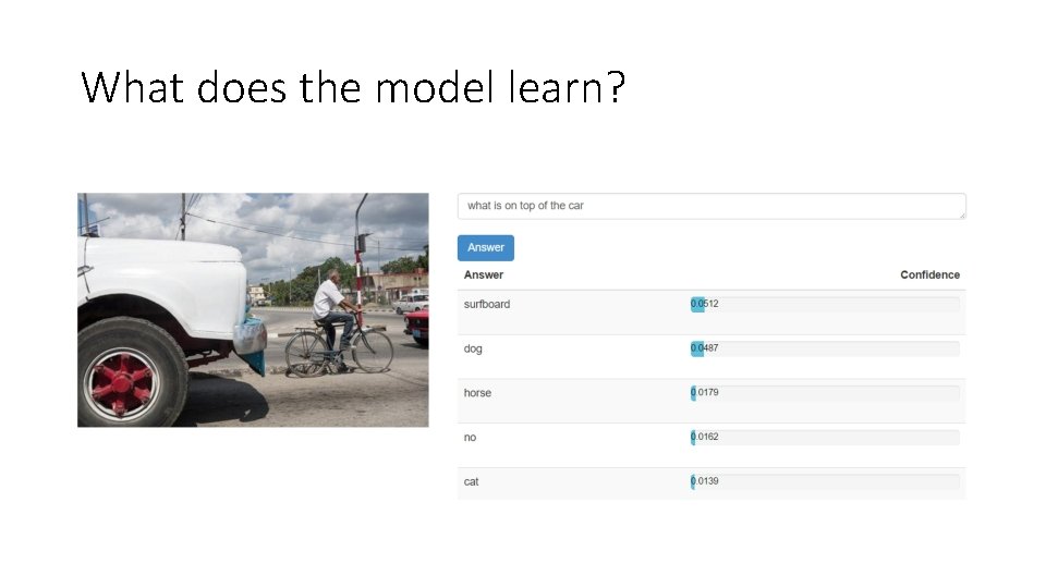 What does the model learn? 