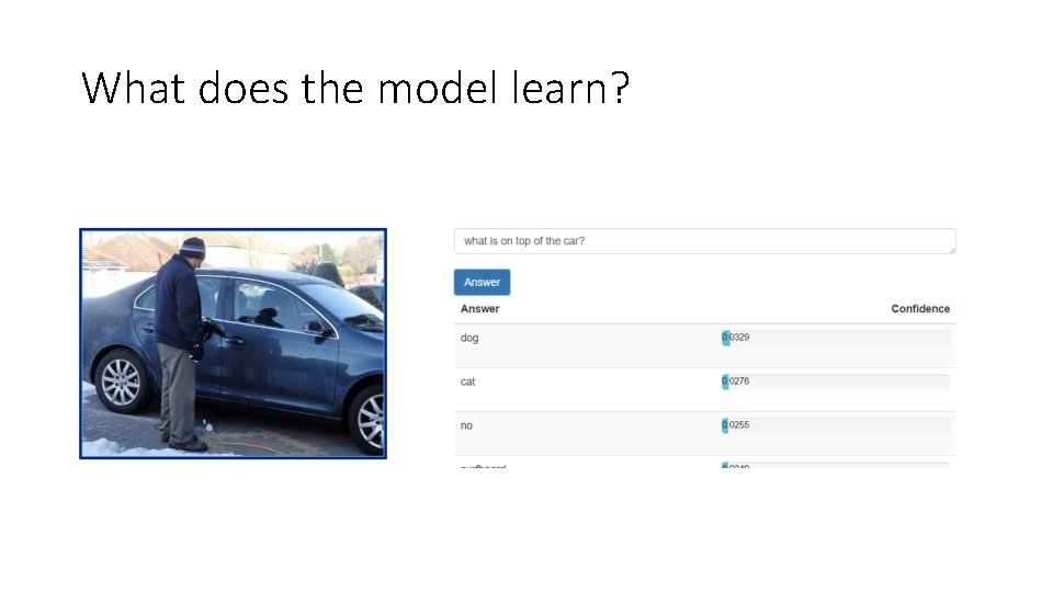 What does the model learn? 
