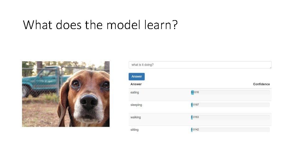 What does the model learn? 